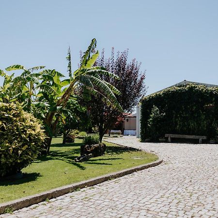 Casa Dos Meus Avos -Villas - Gaia & Porto Віла-Нова-де-Гая Екстер'єр фото